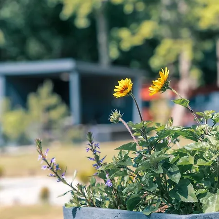 Seaside - Tiny And Cozy Place كلابيدا