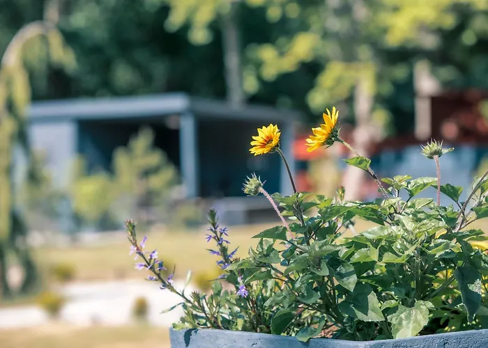 Seaside - Tiny And Cozy Place Klaipėda